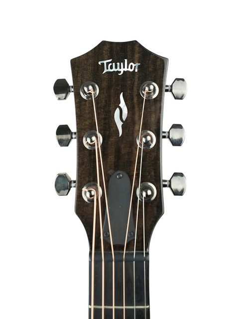 Taylor GT 811e - USA 2012